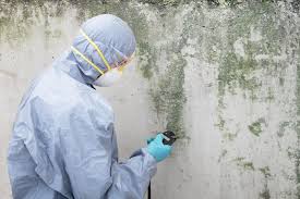 Best Mold Prevention Services in Granite Falls, WA